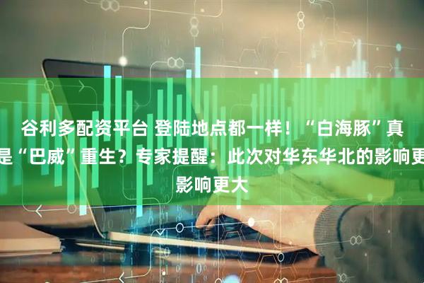 谷利多配资平台 登陆地点都一样！“白海豚”真的是“巴威”重生？专家提醒：此次对华东华北的影响更大
